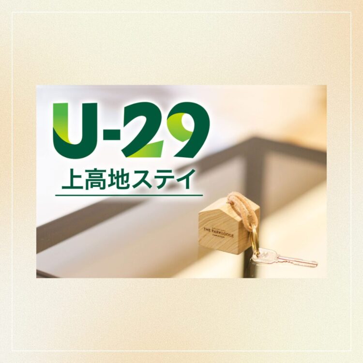 U-29