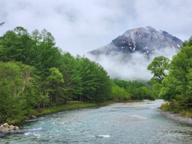 梅雨の季節の緑鮮やかな上高地