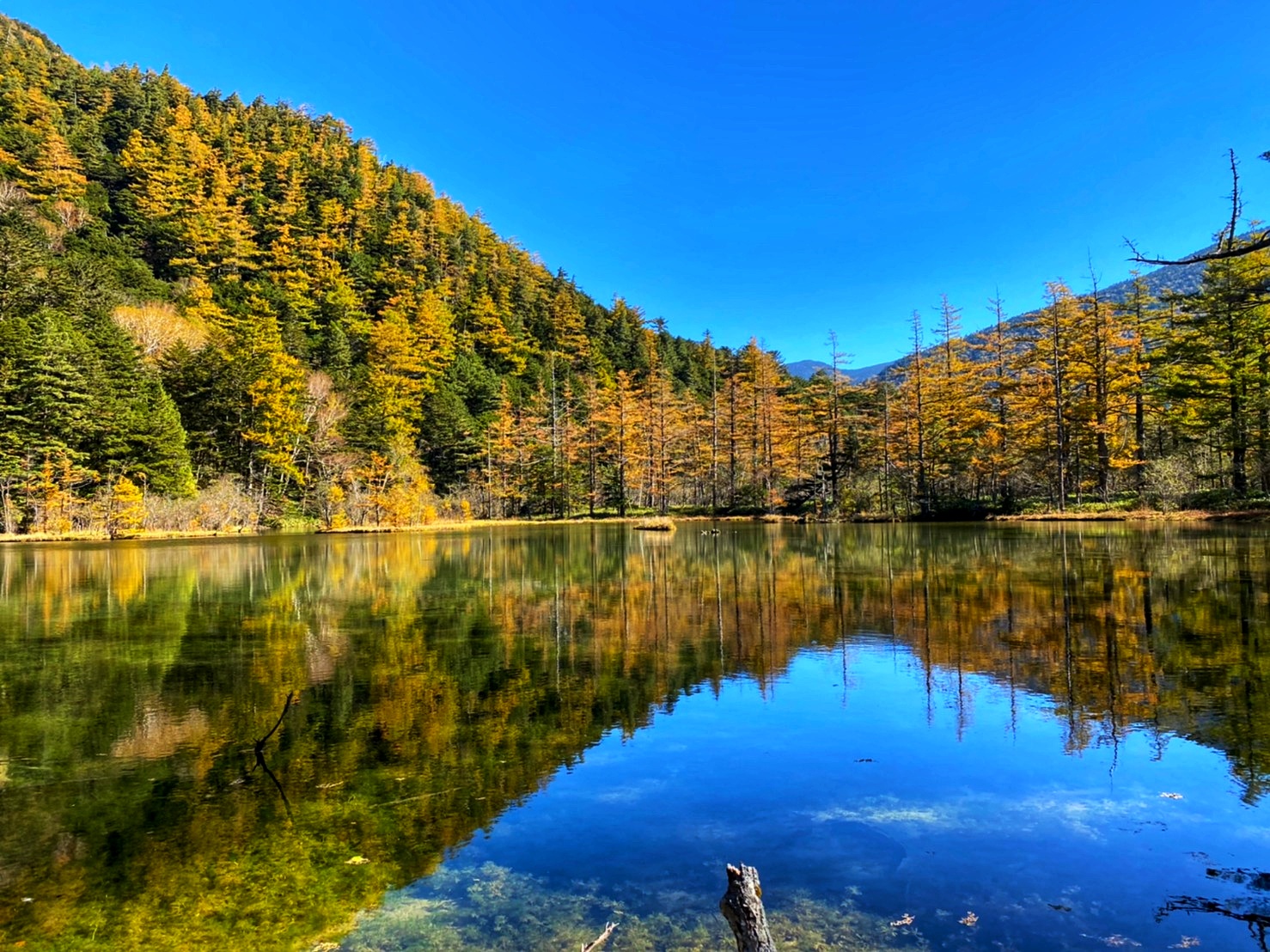 紅葉する静寂の明神池