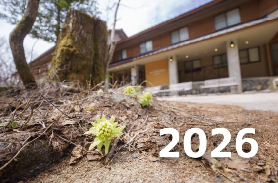 オープニングプラン