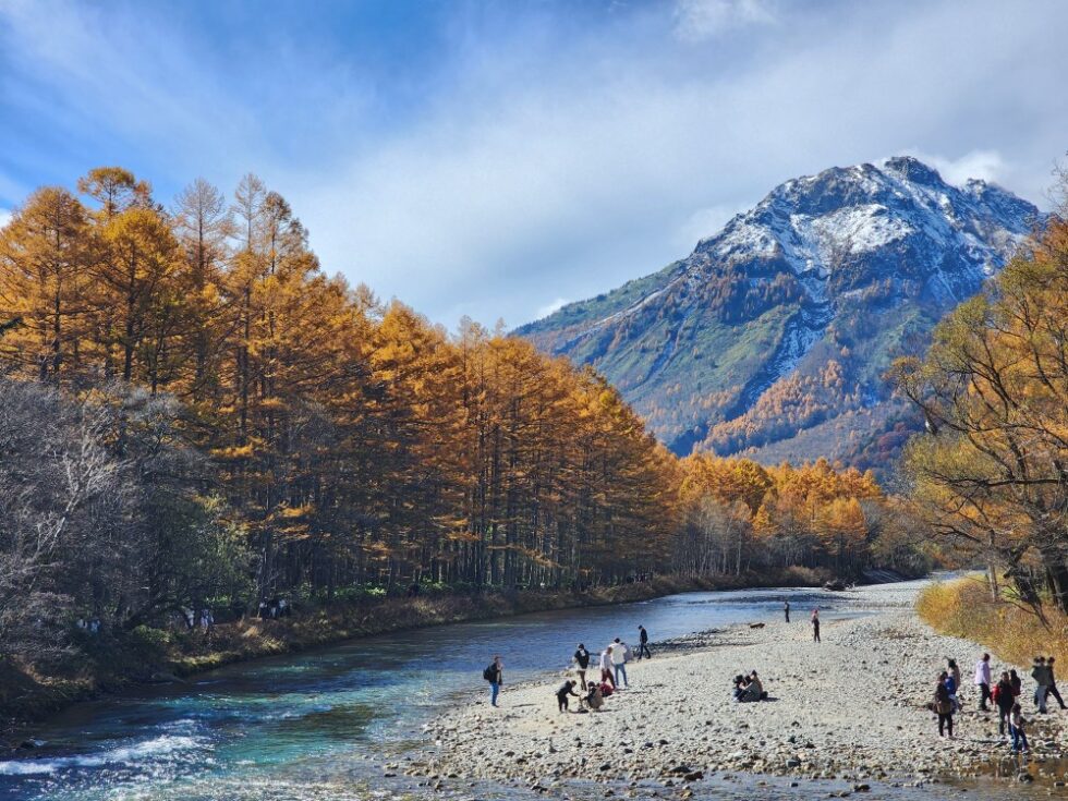 冠雪した焼岳とカラマツの黄葉が綺麗な上高地の晩秋