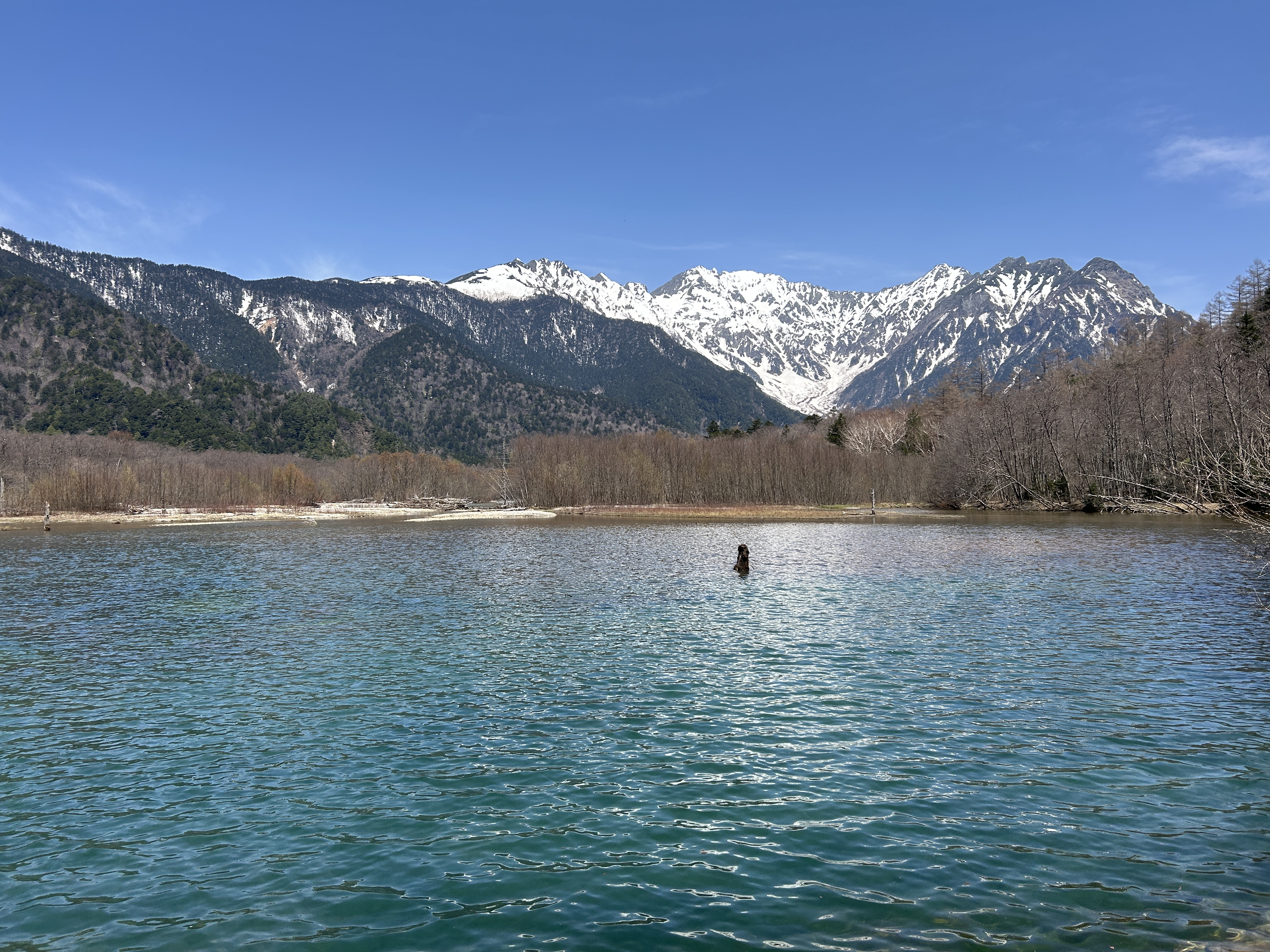 大正池　上高地　穂高連峰　梓川　4月　開山　