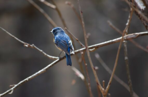 カメラ好き必見！上高地の開山でしか撮れない景色と1泊2日モデルプラン